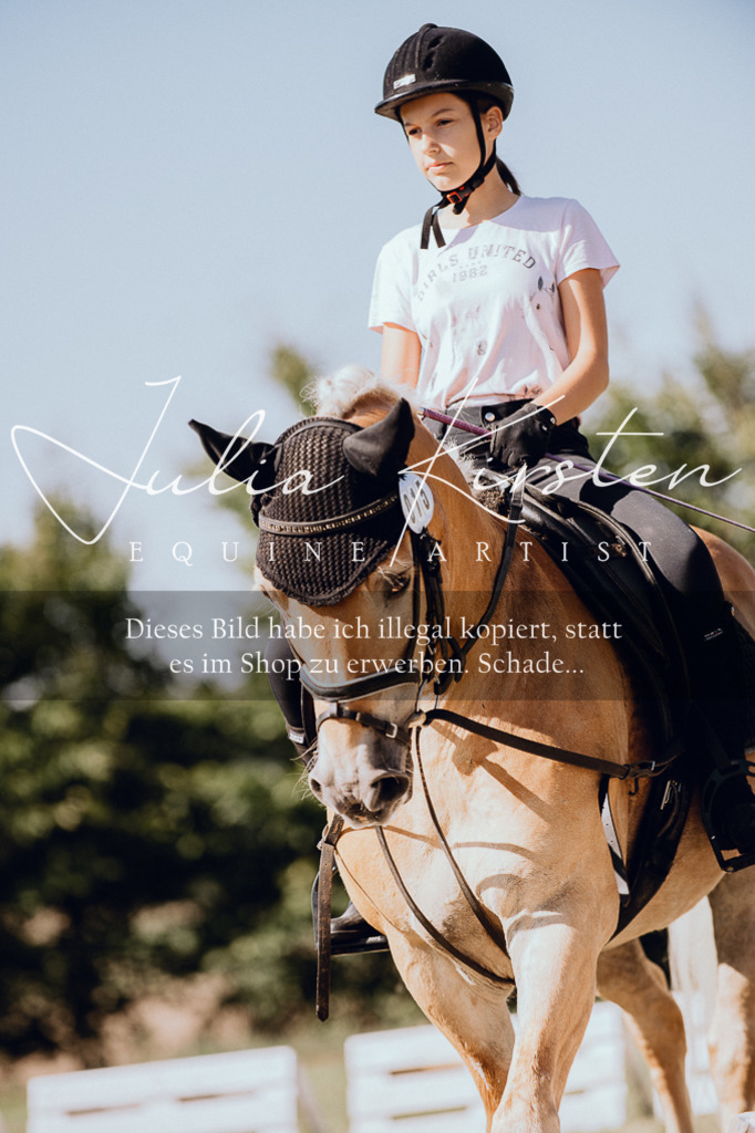 DSC_7266 | Pferde- und Turnierfotografie in Westsachsen. Pferdeportraits, Auftragszeichnungen und intuitive Kunst.