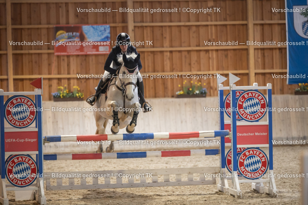 _D5A8545 | Emotionale Pferde- & People-Fotografie rund um Heidelberg, Leimen & Umgebung. Natürliche Fotos von Pferd, Mensch & Familie. Jetzt Termin sichern!