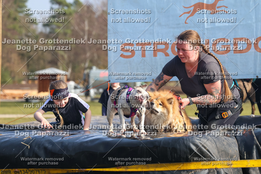 Dog Paparazzi - Strongdog North Mrz26-2101 | Dog Paparazzi Jeanette Grottendiek Fotografie & Videografie - Realisiert mit Pictrs.com