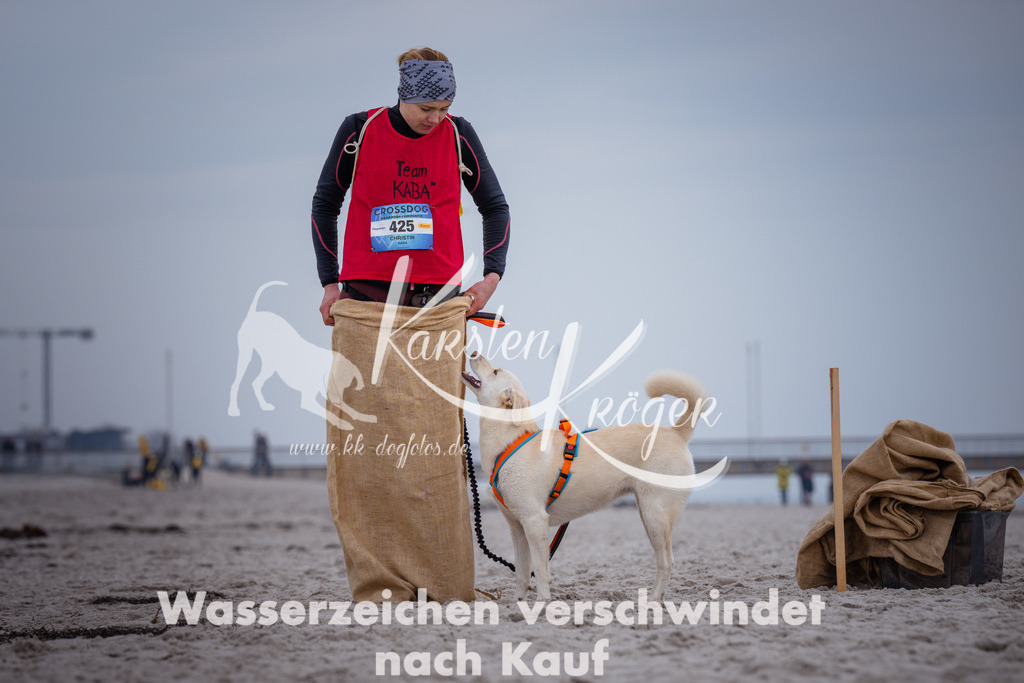 1208_ZZ92116 | kk-dogfotos