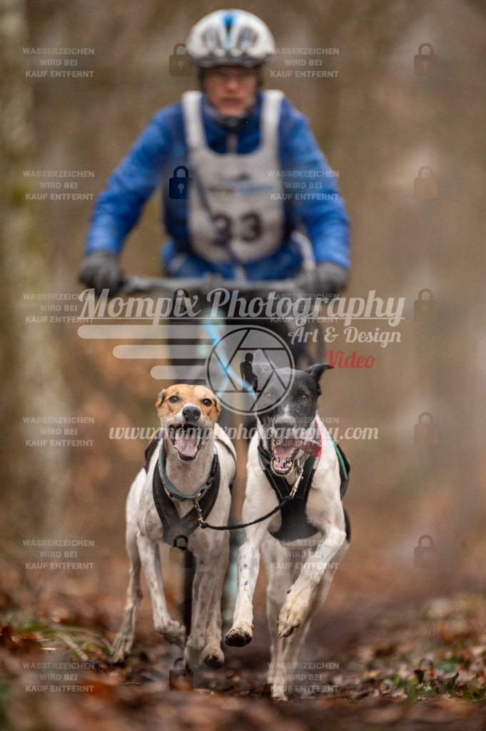 Reiat2023_SON_DS2_5km_2H-8 | mompixphotography