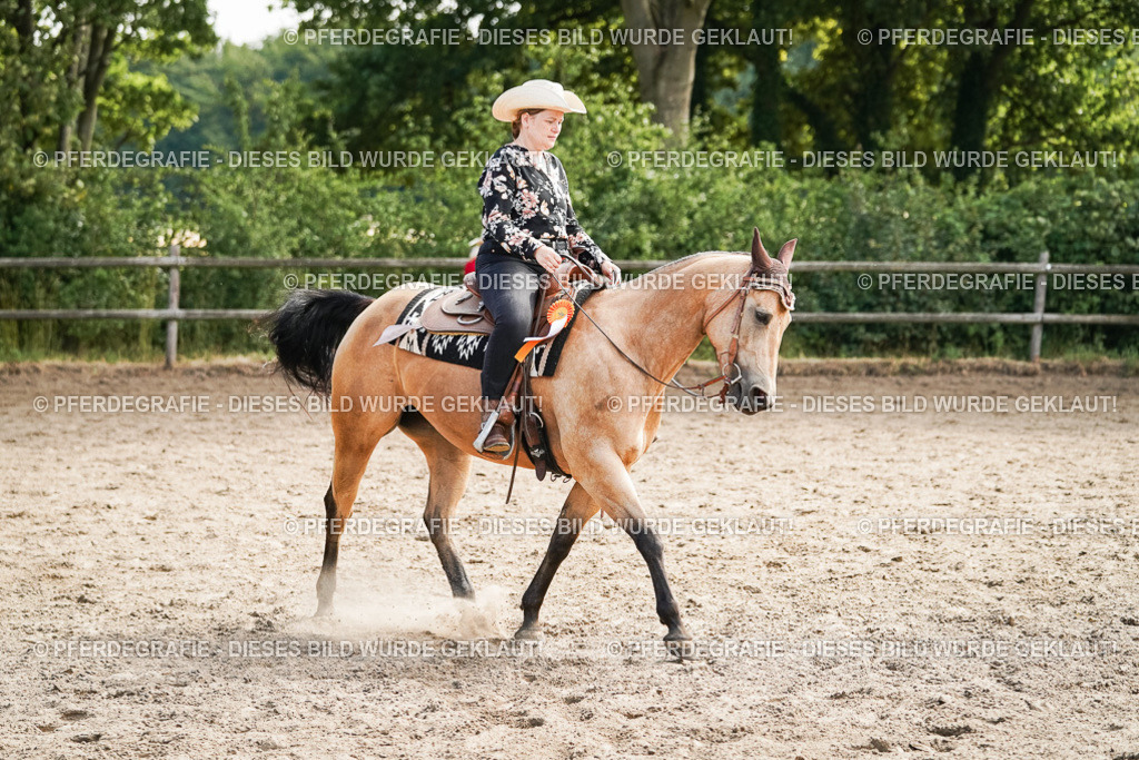 DSC04686 | Pferdegrafie