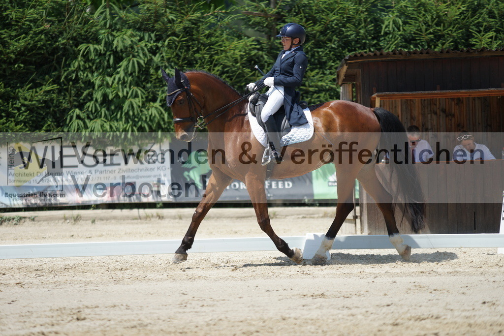 DSC05089 | equestrian-live-com