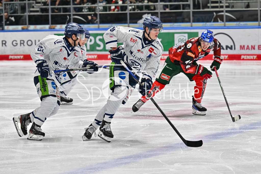 Augsburger Panther - Straubing Tigers | am Puck Joshua SAMANSKI (Straubing Tigers #8) / DEL: Augsburger Panther - Straubing Tigers, Curt Frenzel Stadion am 29.11.2024