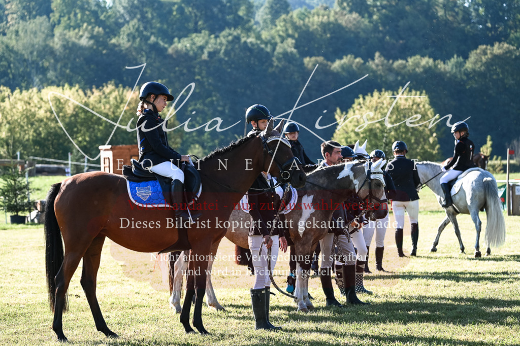 DSC_0501 | Pferde- und Turnierfotografie in Westsachsen. Pferdeportraits, Auftragszeichnungen und intuitive Kunst.