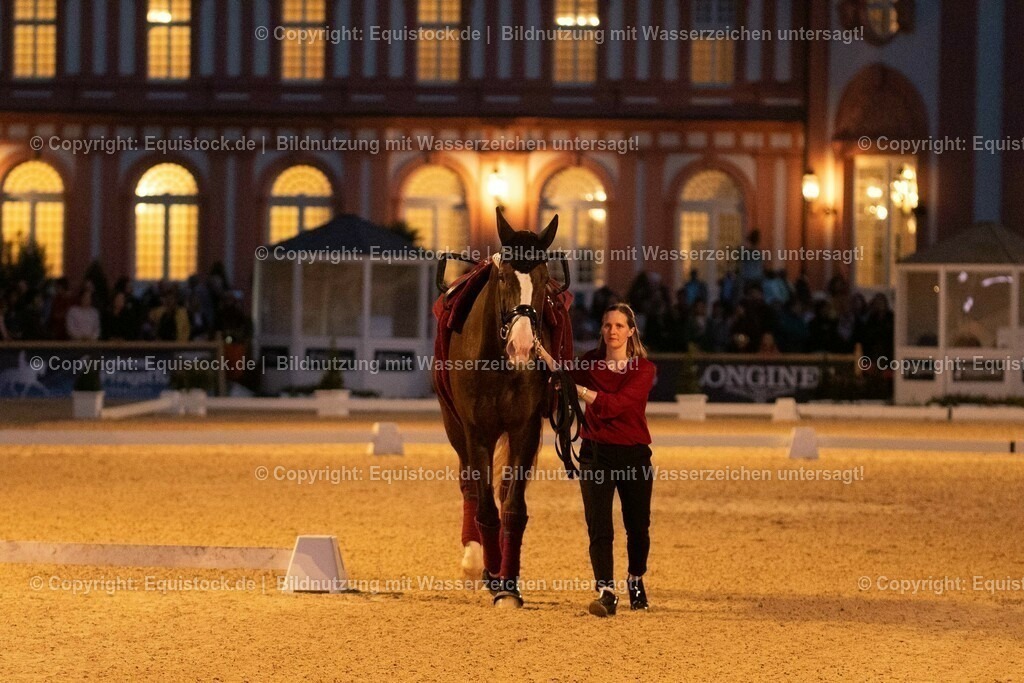 20230527_Voltigieren_NASPA_Flutlicht_0641 | equistock