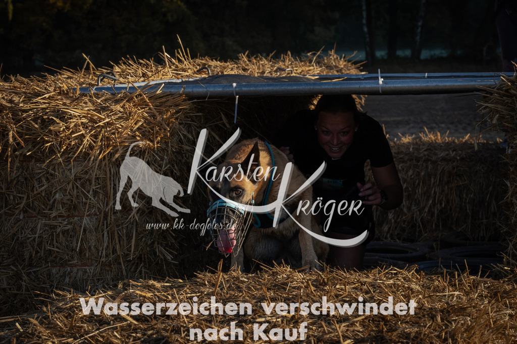 0923_ZZ92658 | kk-dogfotos