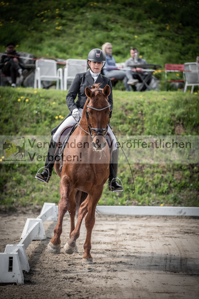 DSC_1420 | equestrian-live-com