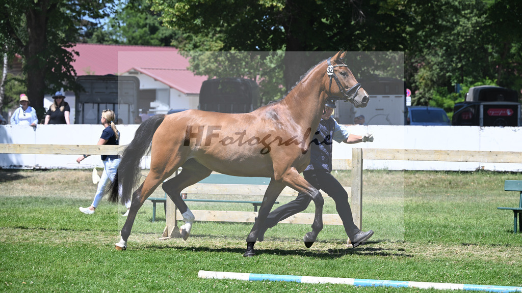 Kat-Nr. 32 Goldona v. Fusionist_HLG Schwaiganger_19250618 | hf-fotografie - Realizzato con Pictrs.com