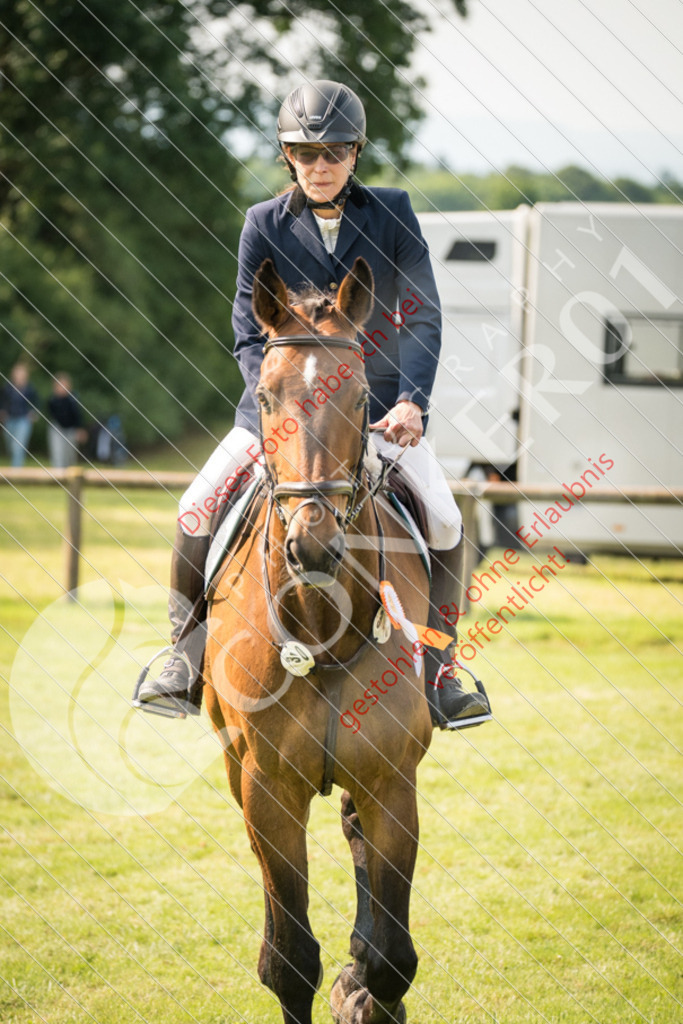 DSC_7197 | Hier findest Du viele Augenblicke aus den Bereichen der Turnier-, Sport- & Tierfotografie. Bilder mit deinem Liebling, Portrait-, Bewerbungs-, Businessbilder können ebenfalls schnell und einfach erstellt werden.