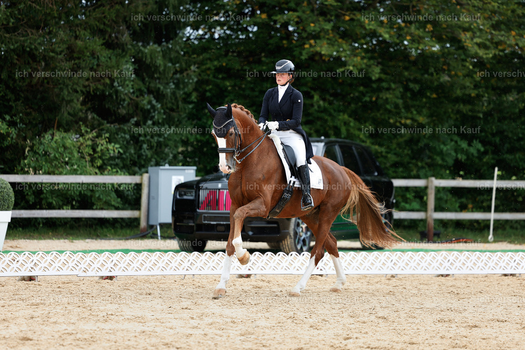 11-201-Dressur S___-StoibPH-949 | working equitationturnier fotograf videograf stoibphotography marixx film working equitation deutschland reitsport turnierfotografie eventfotografie equestrian events