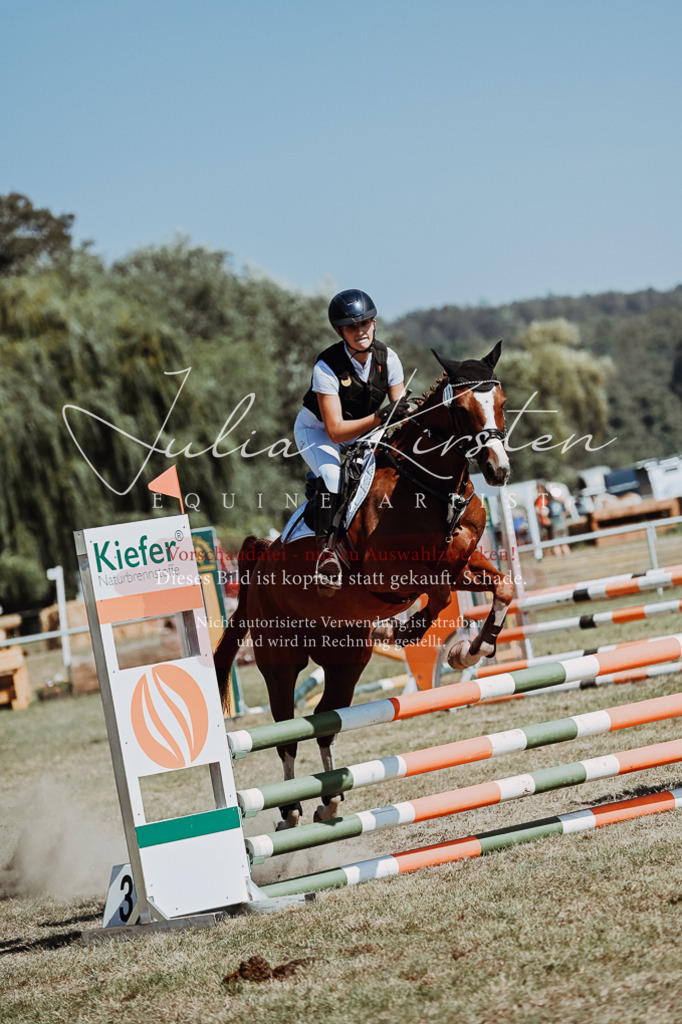 DSC_9933 | Pferde- und Turnierfotografie in Westsachsen. Pferdeportraits, Auftragszeichnungen und intuitive Kunst.
