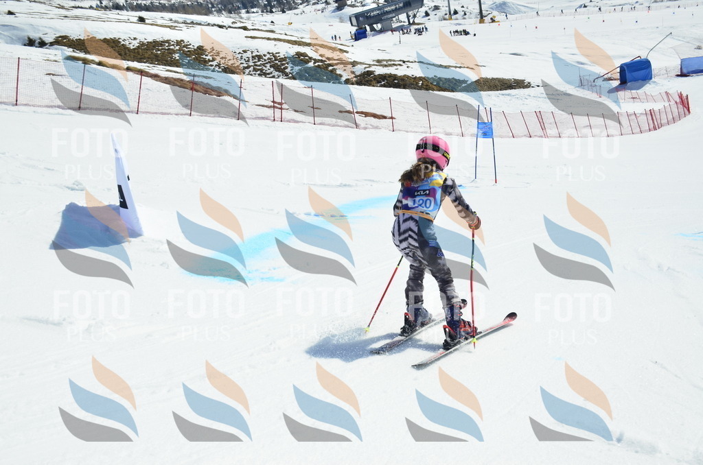 _ELE0734 | holidayphoto