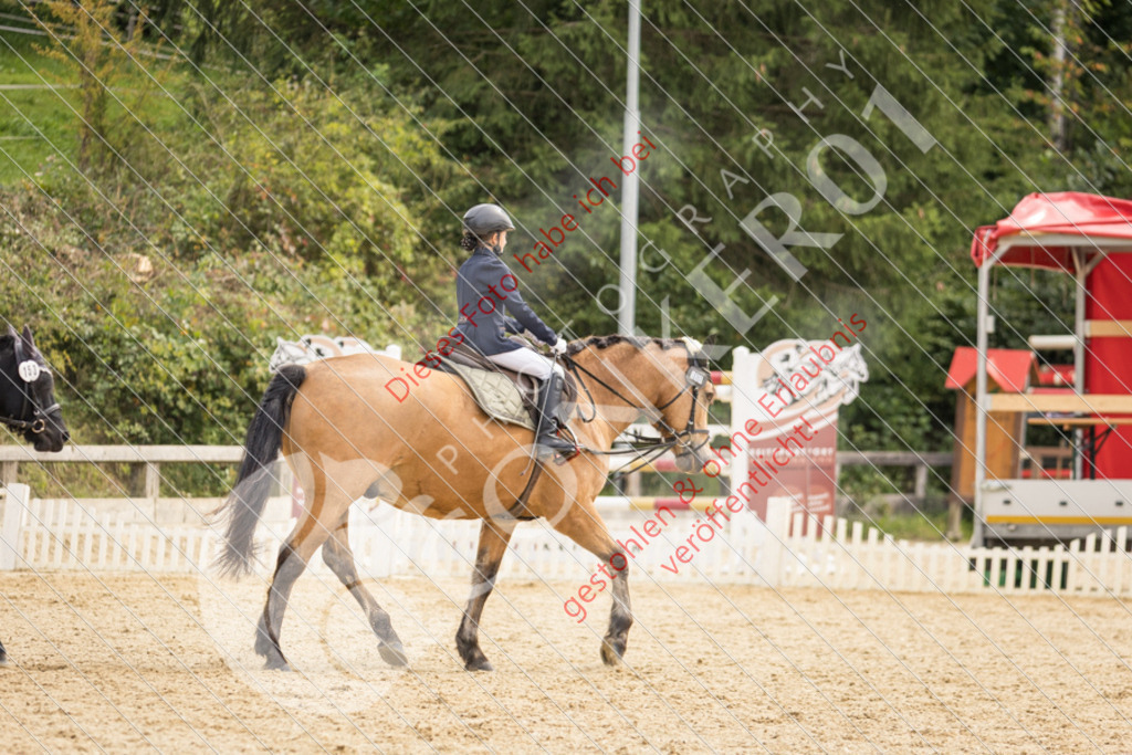CON_0271 | Sport-, Event- und Tierfotos in Profiqualität. Einfach auswählen, bestellen und herunterladen. Dein Moment – perfekt festgehalten.