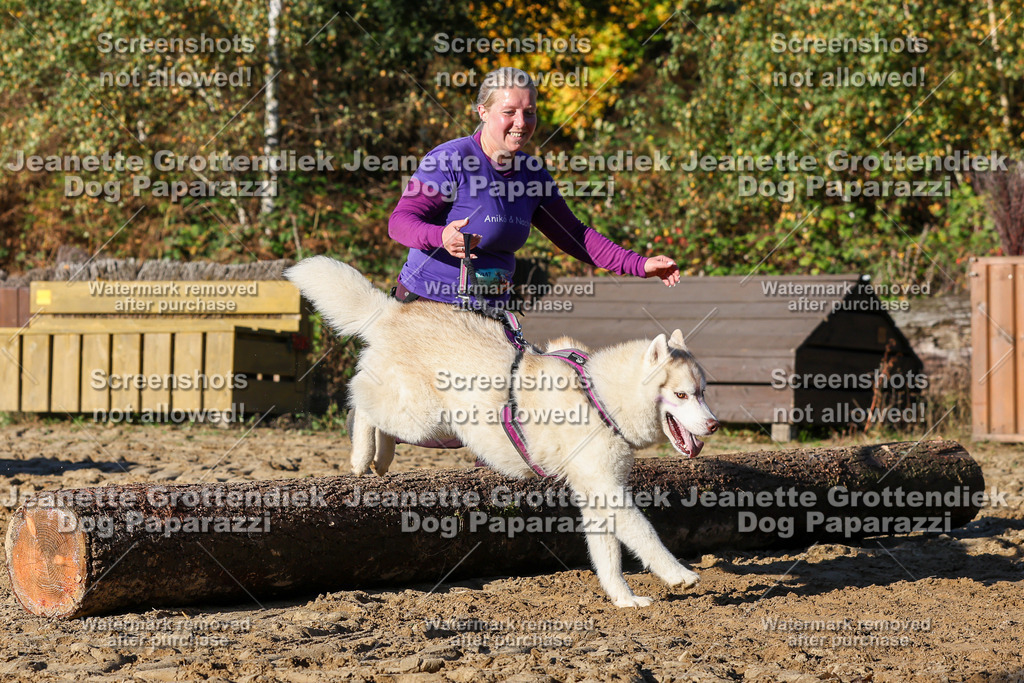 Dog Paparazzi - Strongdog 10-25-1586 | Dog Paparazzi Jeanette Grottendiek Fotografie & Videografie - Realisiert mit Pictrs.com