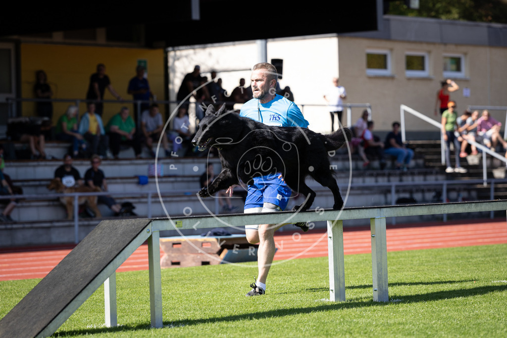 Pfotenfotografie_DV3A9326 | Hundefotografie, Tierfotograf, Pfotenfotografie, Fotoshooting Hund, Hunde Portrait, Hundesport, Hundeportraits, Heideshooting, Hunde, Sportfotograf, Hundefotograf, Turnierhundsport, THS,  - Realisiert mit Pictrs.com