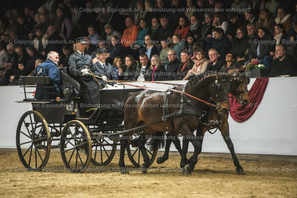 20240302_Hengstvorstellung_Marbach_TOMsPiC_0785 | equistock