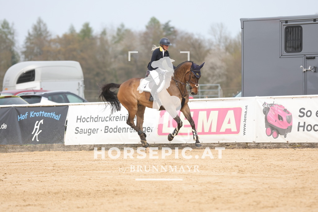 0P6A7232 | Willkommen bei Brunnmayr - Design & Fotografie – Ihrem Spezialisten für Reitturniere und Pferdeveranstaltungen in Oberösterreich, Salzburg und Bayern! Seit über 17 Jahren sind wir leidenschaftlich dabei.