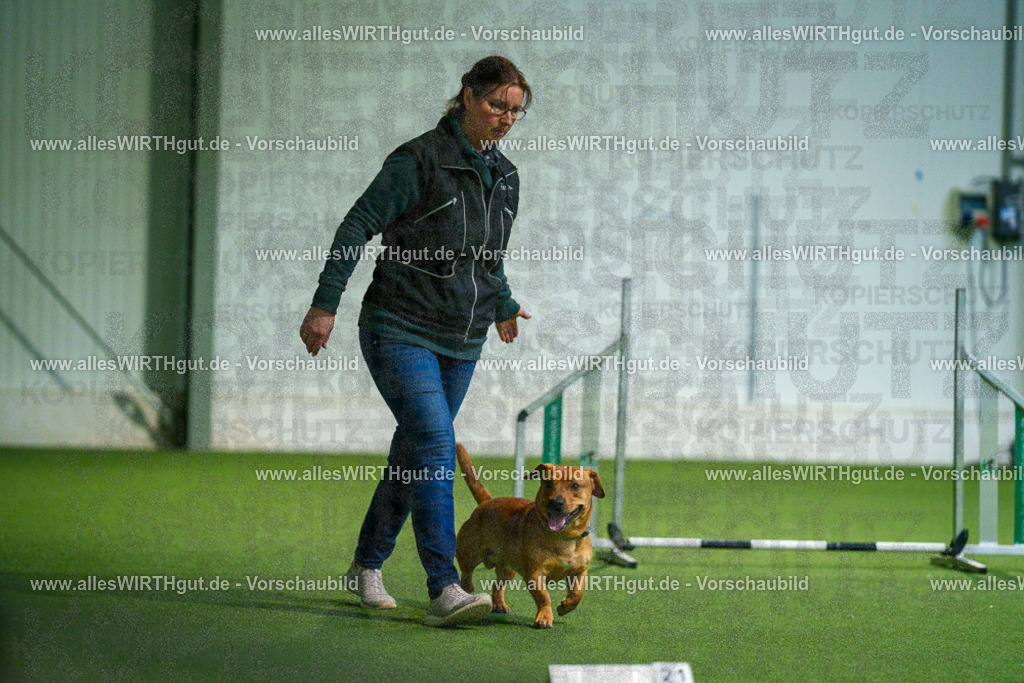 7R507203 | Professionelle Tierfotografie in Mönchengladbach von Daniel Wirth (allesWIRTHgut). Liebevolle & natürliche Bilder von Hunden & Katzen für unvergessliche Erinnerungen.