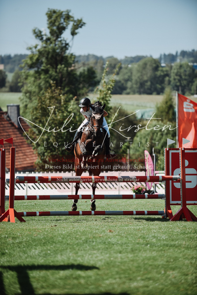 DSC_3244 | Pferde- und Turnierfotografie in Westsachsen. Pferdeportraits, Auftragszeichnungen und intuitive Kunst.