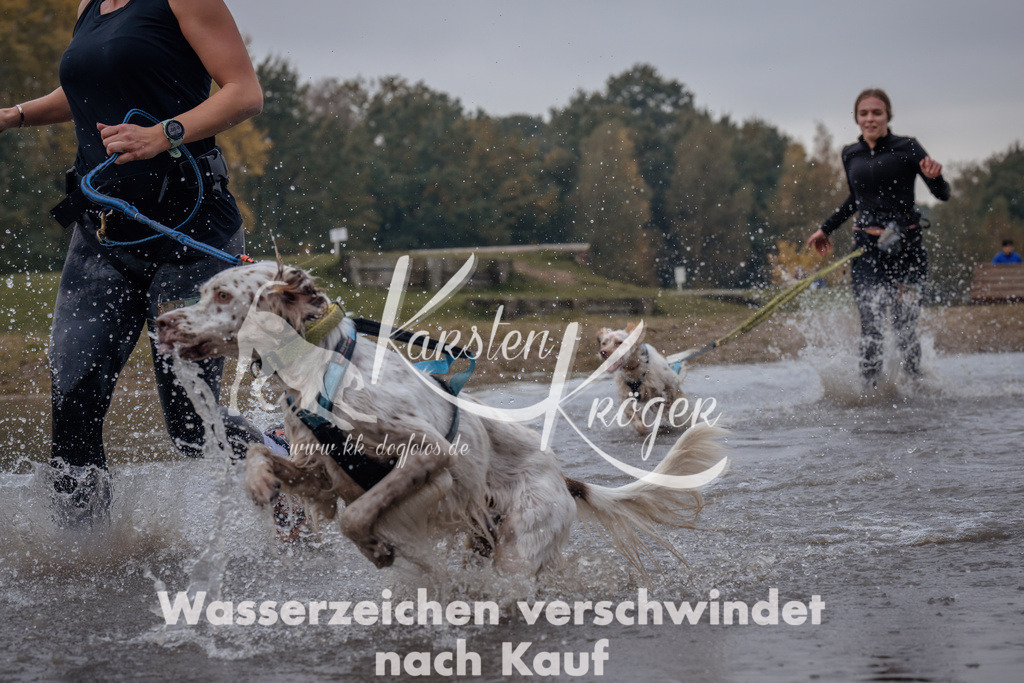 1154_ZZ97075 | kk-dogfotos