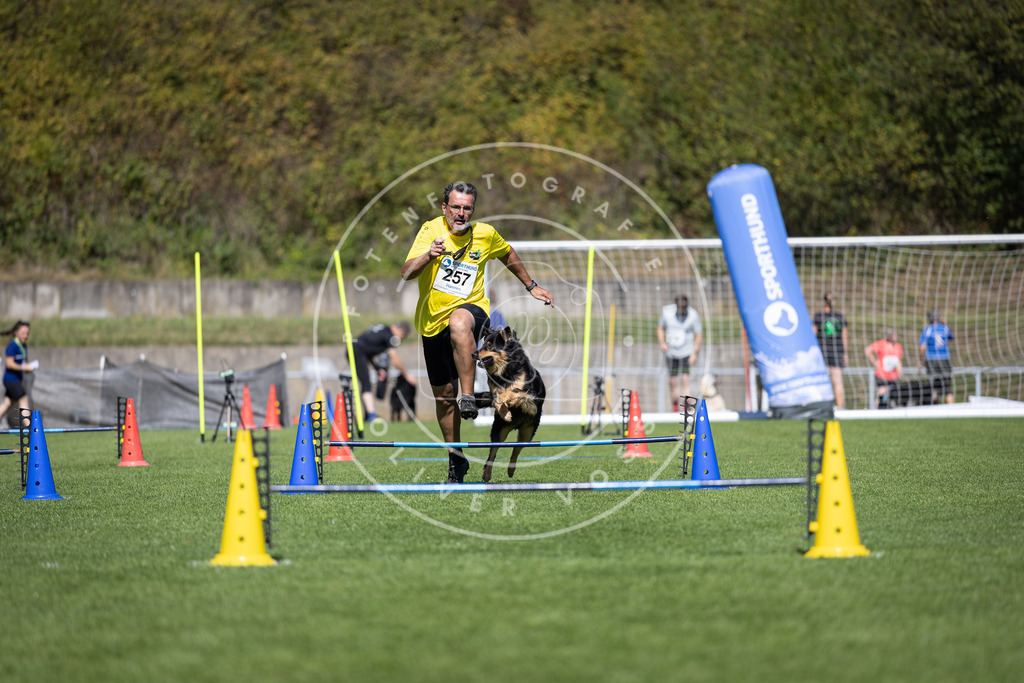 Pfotenfotografie_DV3A6376 | Hundefotografie, Tierfotograf, Pfotenfotografie, Fotoshooting Hund, Hunde Portrait, Hundesport, Hundeportraits, Heideshooting, Hunde, Sportfotograf, Hundefotograf, Turnierhundsport, THS,  - Realisiert mit Pictrs.com