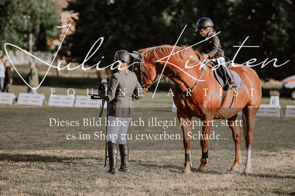 DSC_0181 | Pferde- und Turnierfotografie in Westsachsen. Pferdeportraits, Auftragszeichnungen und intuitive Kunst.