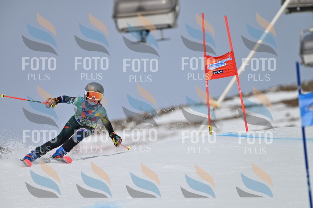 BGV_5010 | holidayphoto