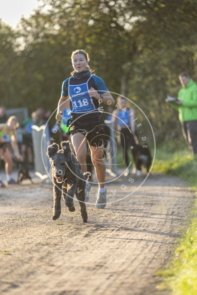 Pfotenfotografie.de_DV3A2431 | Hundefotografie, Tierfotograf, Pfotenfotografie, Fotoshooting Hund, Hunde Portrait, Hundesport, Hundeportraits, Heideshooting, Hunde, Sportfotograf, Hundefotograf, Turnierhundsport, THS, canicross - Realisiert mit Pictrs.com