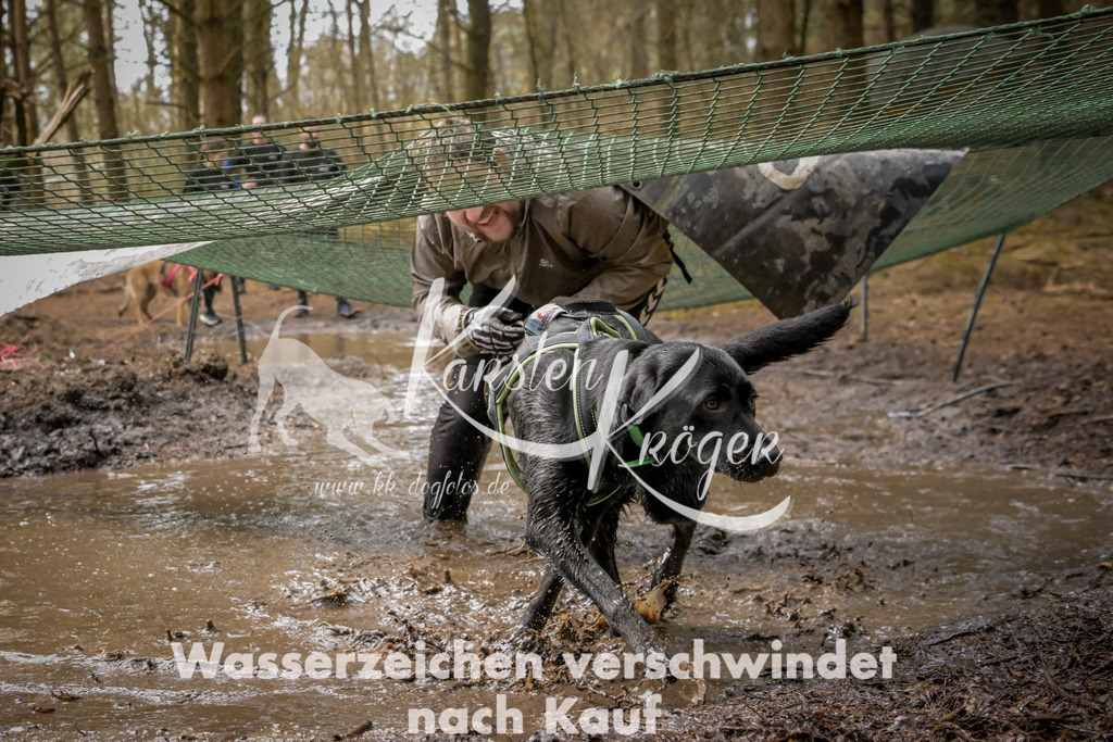 1048_ZZ92014 | kk-dogfotos