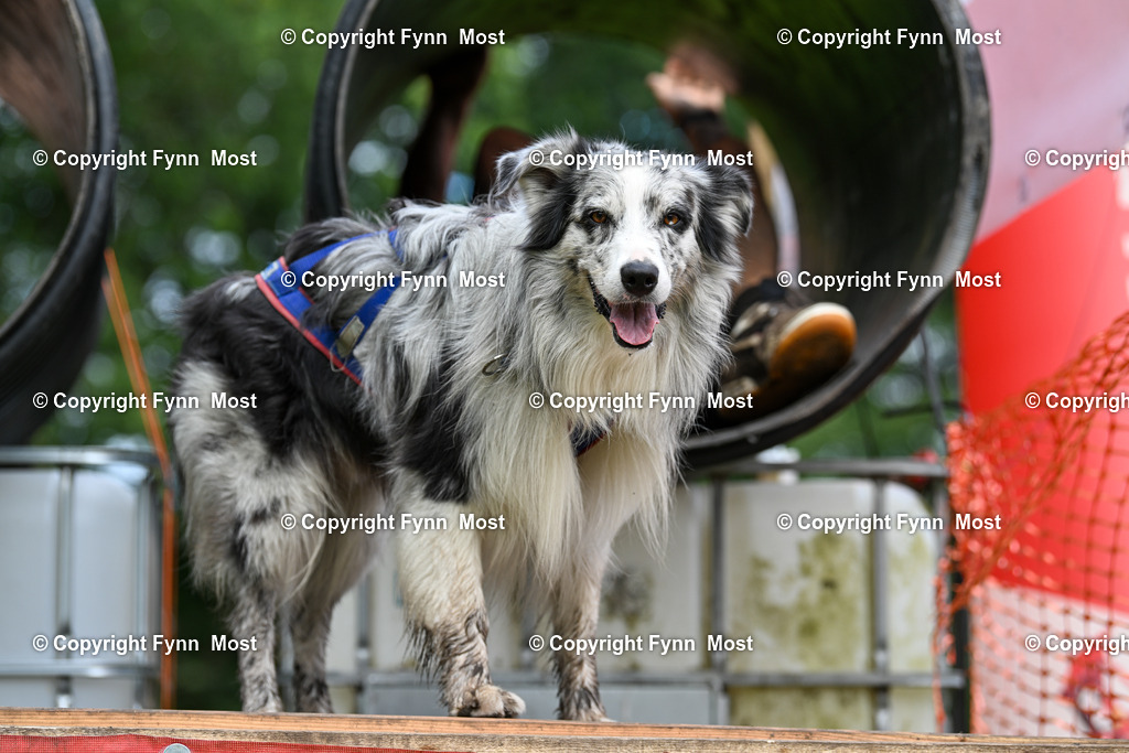 DSC_4124 | Hallo und herzlich Willkommen auf meiner Shop-Seite Fynn Most.

Ich wünsche Dir viel Spaß beim stöbern durch die Bilder, wenn Du Fragen hast oder Bilder vermisst, kannst du mir gerne eine Nachricht schreiben. - Realisiert mit Pictrs.com