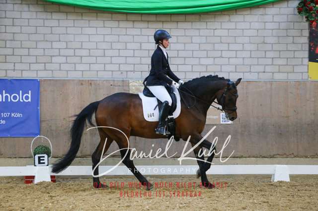 IMG_2884 | Turnierfotos kaufen im Webshop von Daniel Kuhl Photography – entdecke professionelle Reitsportfotos aus Turnieren & Events. Hochwertige Turnierbilder online bestellen & sichern. Jetzt Fotos von Reitsportturnieren kaufen!
