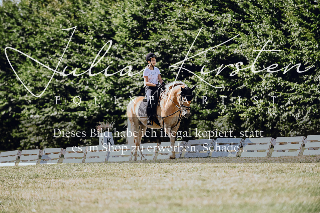 DSC_7308 | Pferde- und Turnierfotografie in Westsachsen. Pferdeportraits, Auftragszeichnungen und intuitive Kunst.