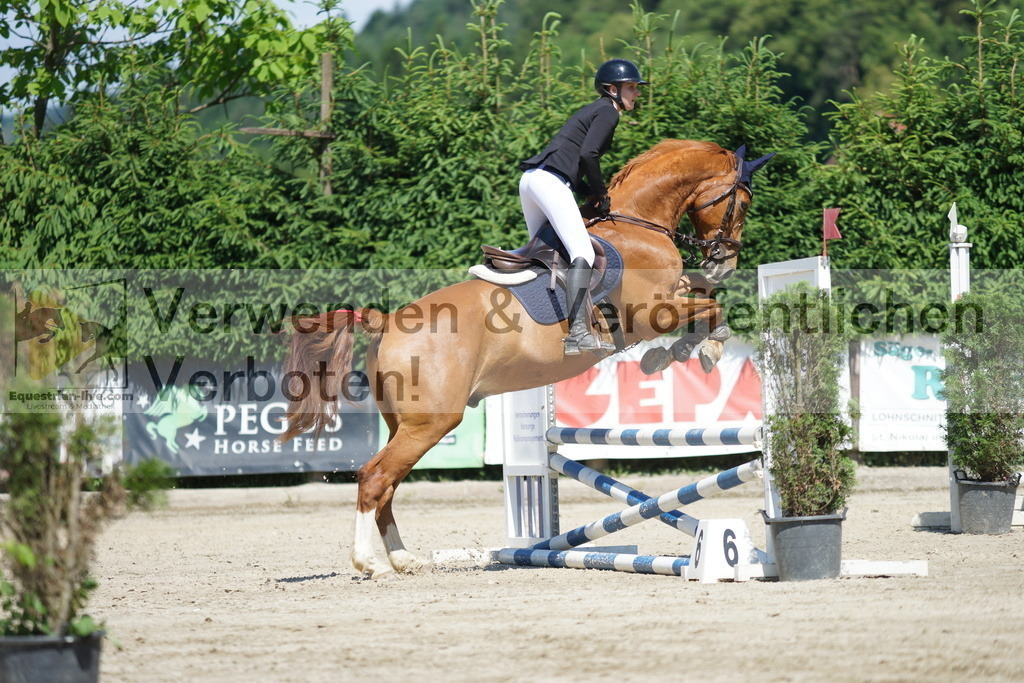 DSC06276 | equestrian-live-com