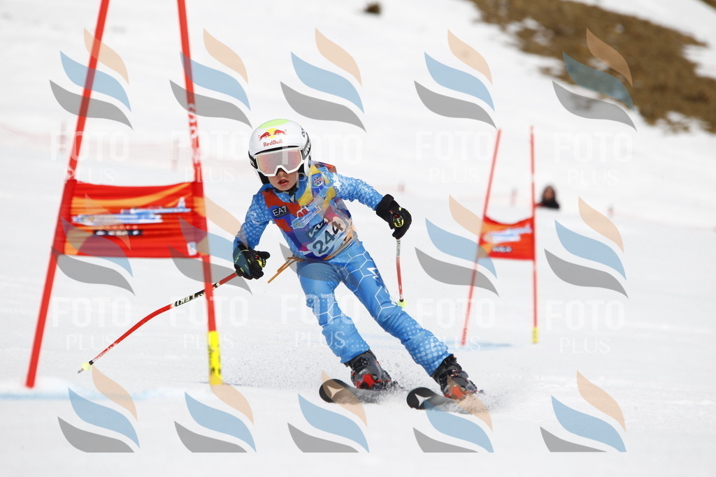 _U3G6171 | holidayphoto