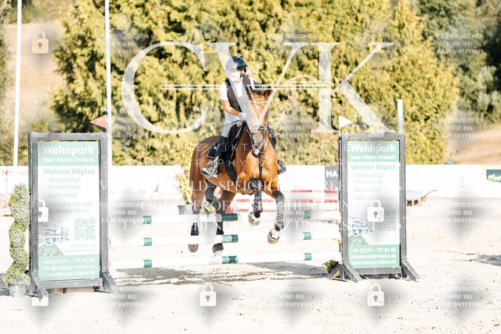 CK909635 | Turnierfotografie Pferdefotografie Trier Rheinland-Pfalz Pferdesport Reitsport Tierfotografie Sportfotografie Pferdevideo Pferdevideografie Equestrianvideography equestrianphotography  - Realisiert mit Pictrs.com