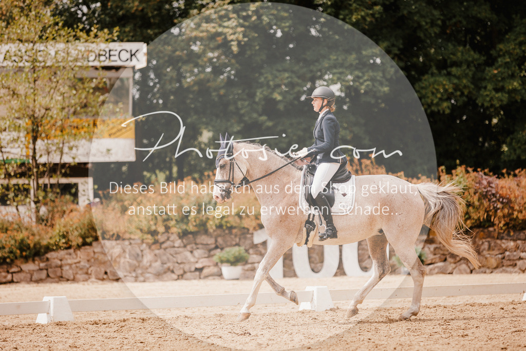 3I6A6172 | Stimmungsvolle Portraits und Reitsportfotografie im Ruhrgebiet und im Münsterland.

Pferdefotografie, Hundefotografie, Tierfotografie, Reportagen, Portraits von Tier und Mensch, Turnierfotografie in Bochum, Recklinghausen, Marl, Haltern am See, Dülmen.. - Realisiert mit Pictrs.com