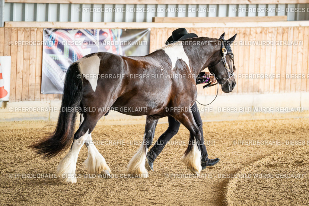 DSC07548 | Pferdegrafie