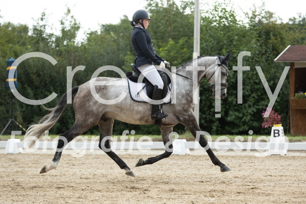 IMG_4227 | Creatify Fotografie