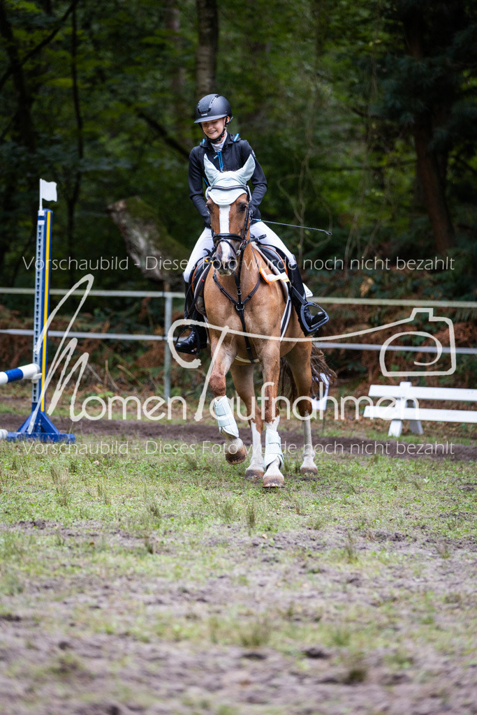 HB-Caprilli-050 | MomenTaufnahmen Pferdesportfotos