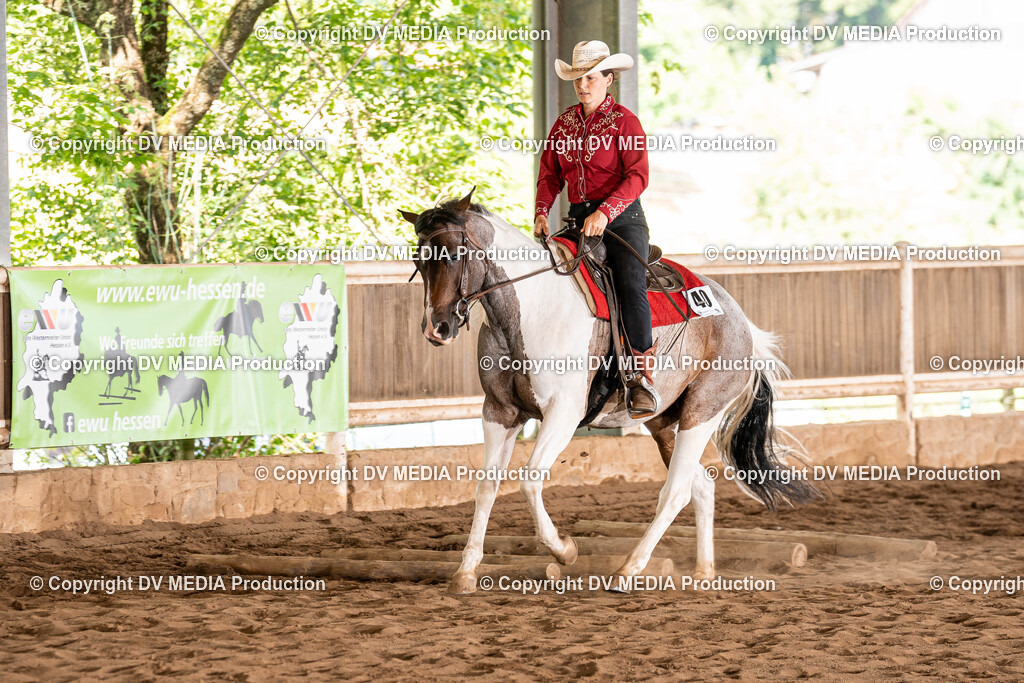 Erbach Tag 1-1019 | dv-media-shop - Realisiert mit Pictrs.com