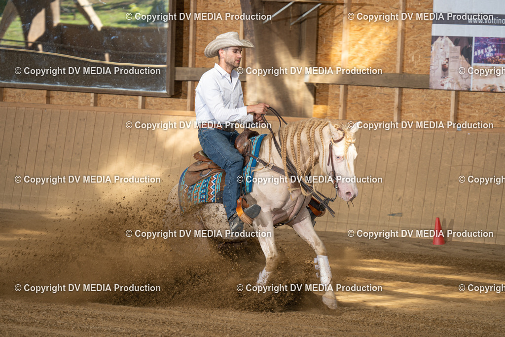 DSC00484 | dv-media-shop - Realisiert mit Pictrs.com