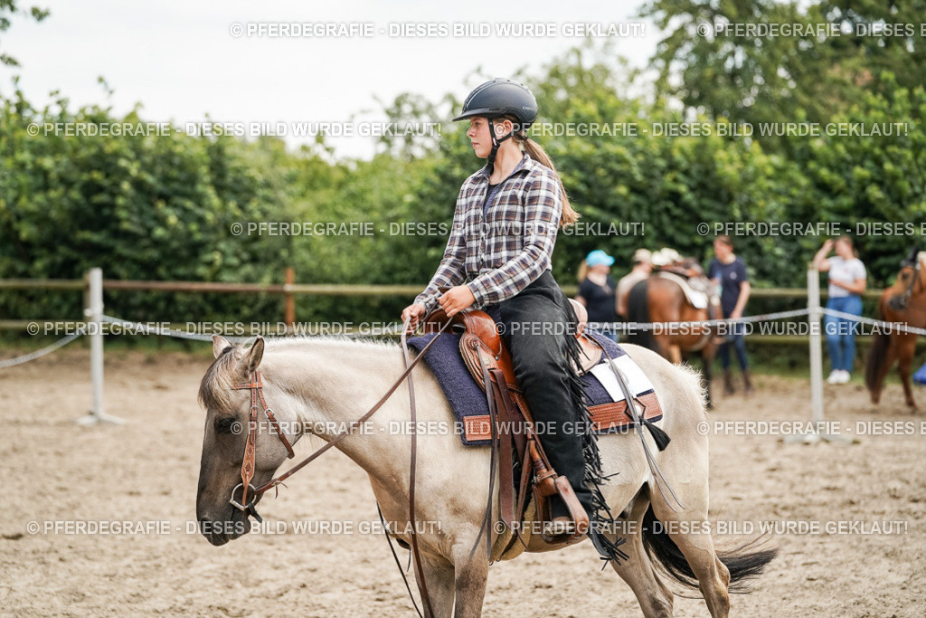 DSC09881 | Pferdegrafie