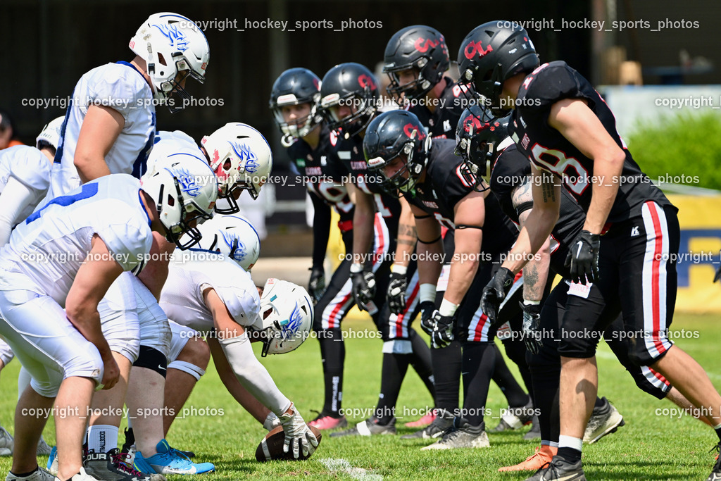 Carinthian Lions vs. Cineplexx Blue Devils | Carinthians Lions Mannschaft, Carinthian Lions vs. Cineplexx Blue Devils, Carinthian Lions vs. Cineplexx Blue Devils am 09.06.2025 in Klagenfurt (ASV Sportplatz), Austria, (Photo by Bernd Stefan)