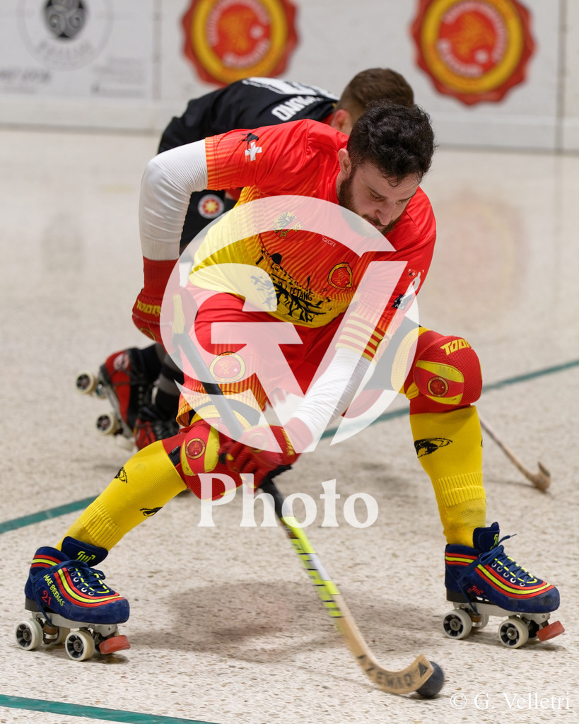 DSC_2708 | Velletri Photo