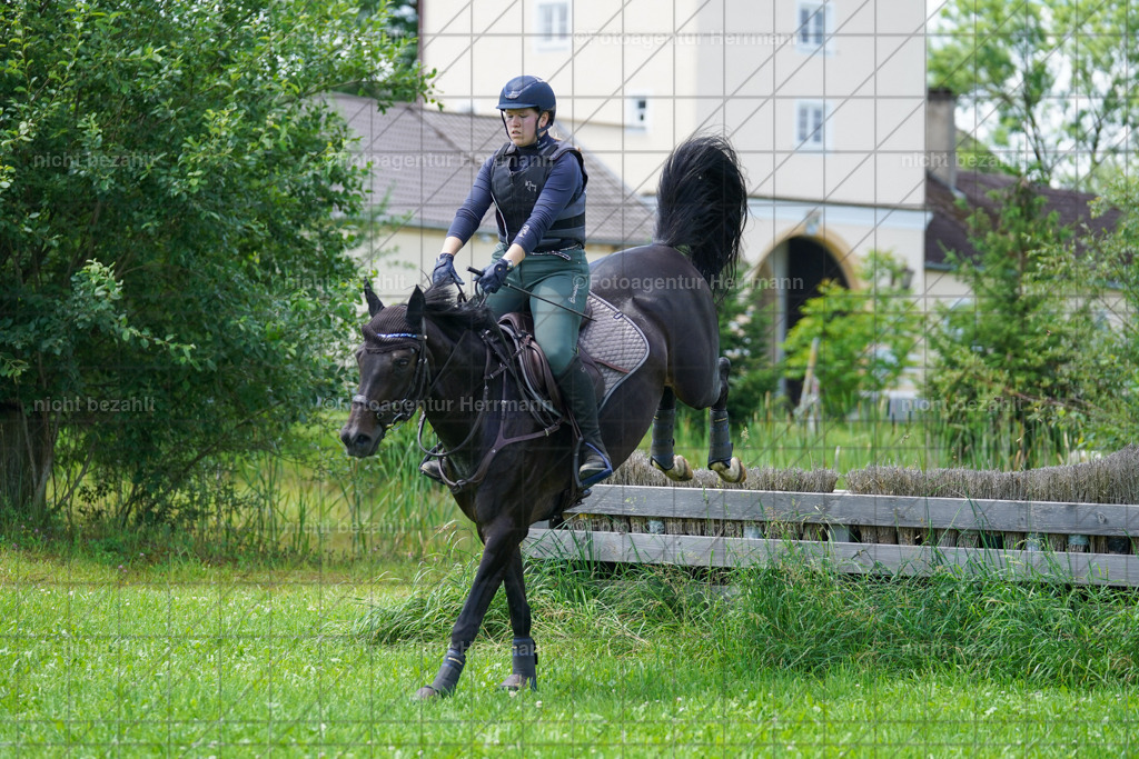 20240622-FAH06895 | Turnierfotografen Bayern, Reitsportbilder aus dem Geländekurs mit Felix Etzel auf dem Gut Waitzacker 2024