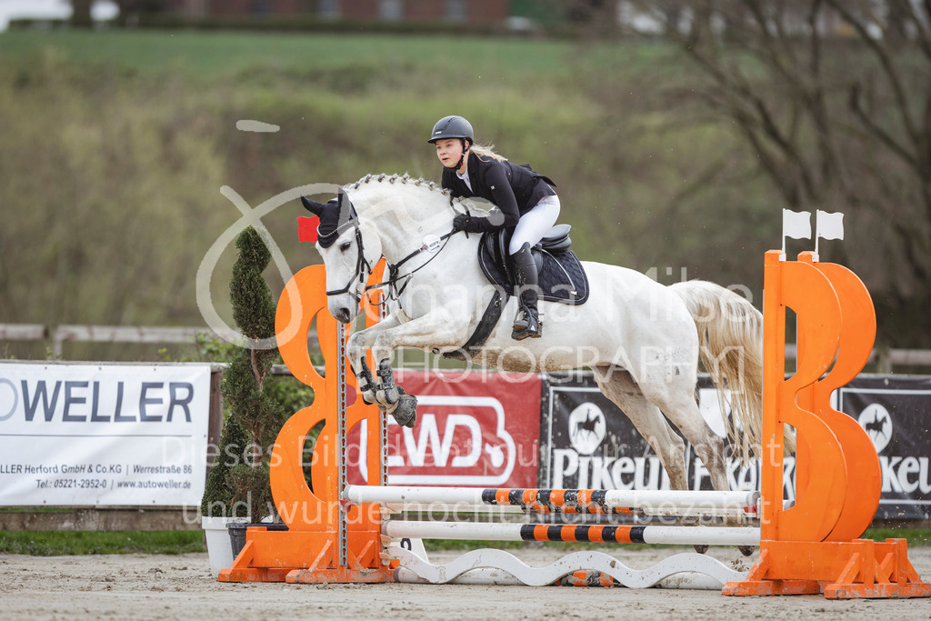 240330_Fruehlingsfest_Stilspring-WB-540 | Deine schönsten Turniermomente als professionelle Fotos! Entdecke hochwertige Pferdesport-Fotografie im Online-Shop. Jetzt Fotos finden & bestellen!