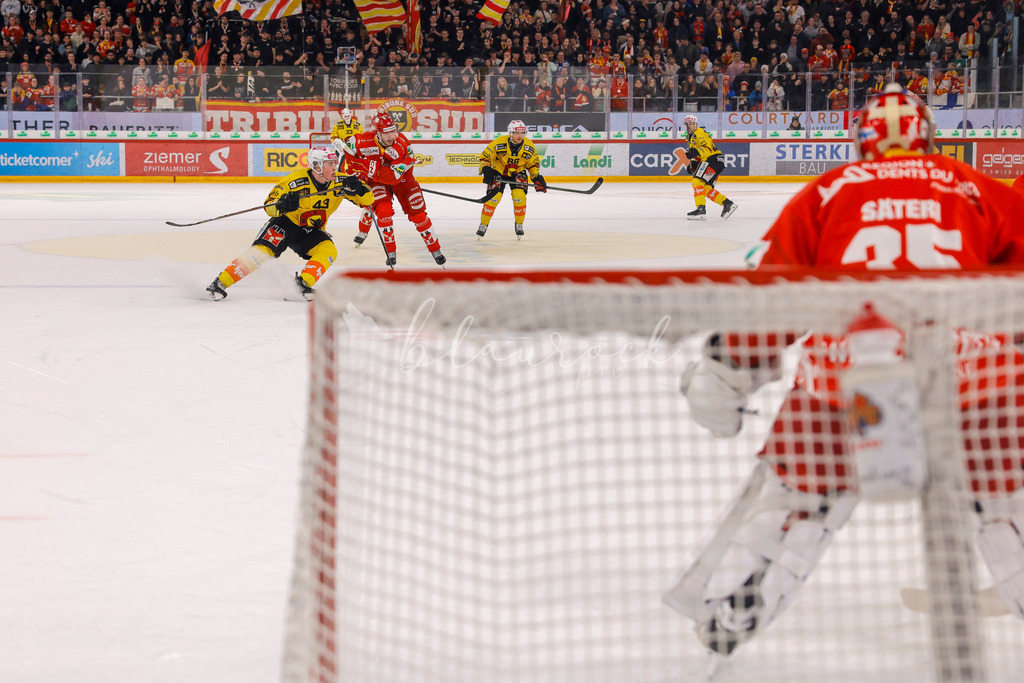 EHCB vs SCB 20260110_wb-3688 | Sportbilder, Sportfotograf, Hochzeits- und Eventfotografin, Flugshows, Portraits und Tiershooting, Aviation, Downhill, Nationalleague, Swissleague, International