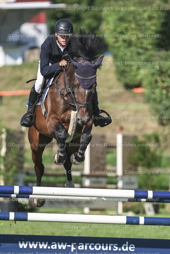 20230908_14-15_Springpferde-A_0088 | equistock