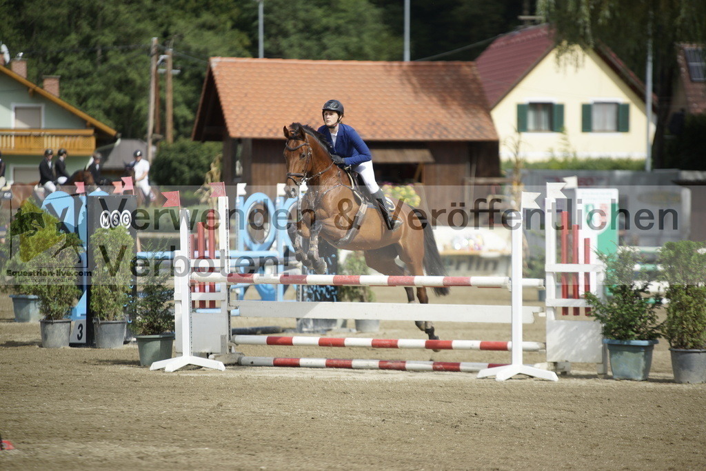 _DSC4359 | equestrian-live-com